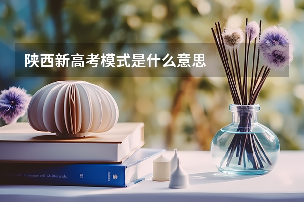 陕西新高考模式是什么意思