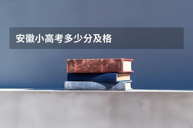 安徽小高考多少分及格