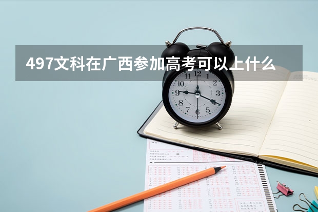 497文科在广西参加高考可以上什么大学