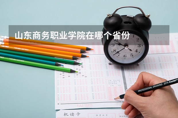 山东商务职业学院在哪个省份