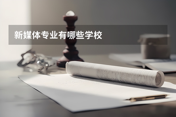 新媒体专业有哪些学校