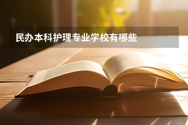 民办本科护理专业学校有哪些