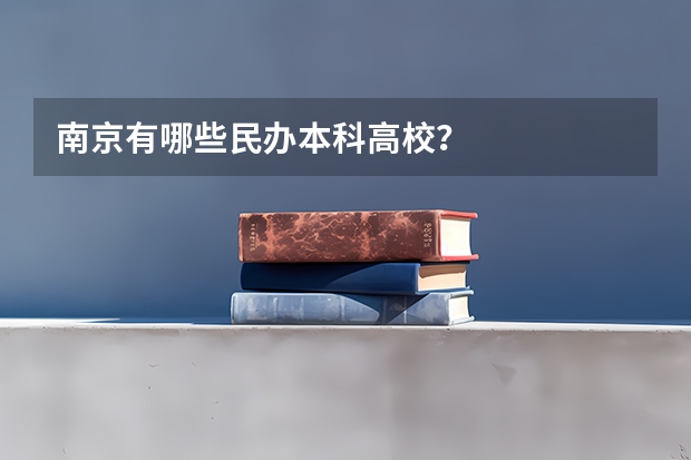 南京有哪些民办本科高校？