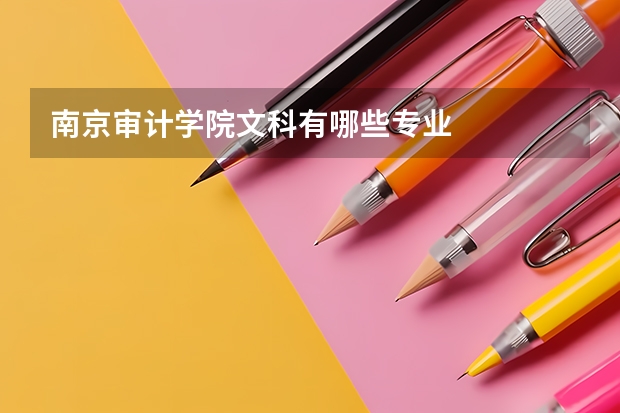 南京审计学院文科有哪些专业