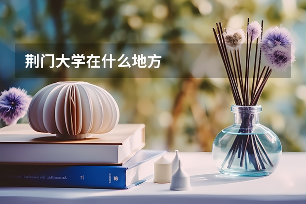 荆门大学在什么地方