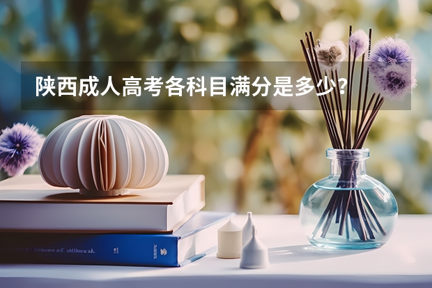 陕西成人高考各科目满分是多少？