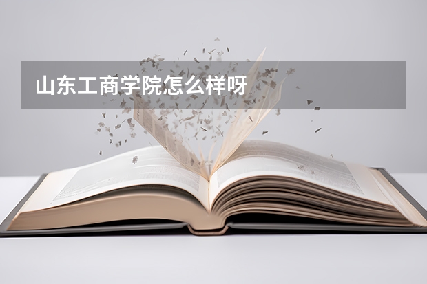 山东工商学院怎么样呀