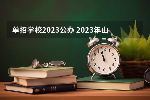 单招学校2023公办 2023年山东省单招公办学校有哪些