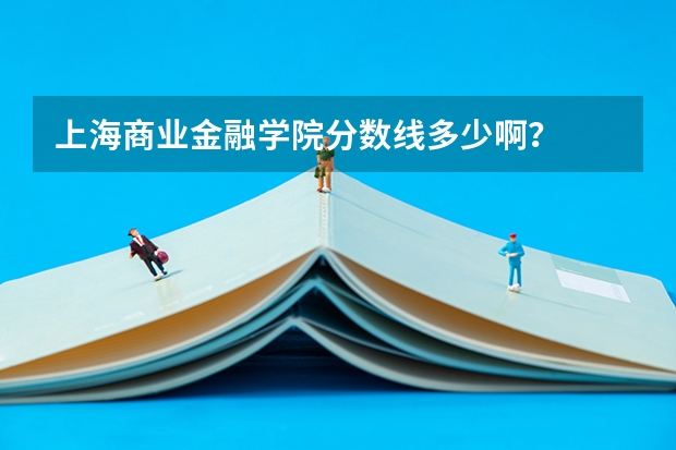 上海商业金融学院分数线多少啊？