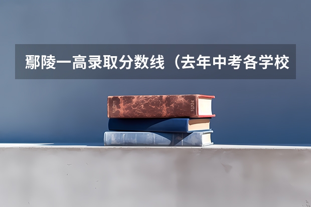 鄢陵一高录取分数线（去年中考各学校录取分数线）