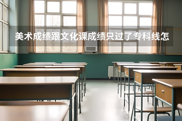 美术成绩跟文化课成绩只过了专科线怎么报学校?